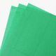 Green MG Coloured Tissue Paper 450mm x 700mm